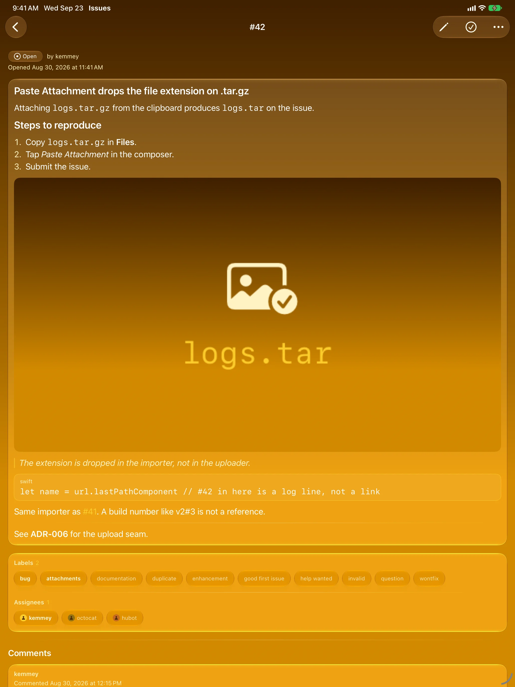 iPad - An issue rendered with Markdown and an image