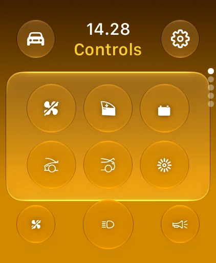 The same quick controls on the first Apple Watch page